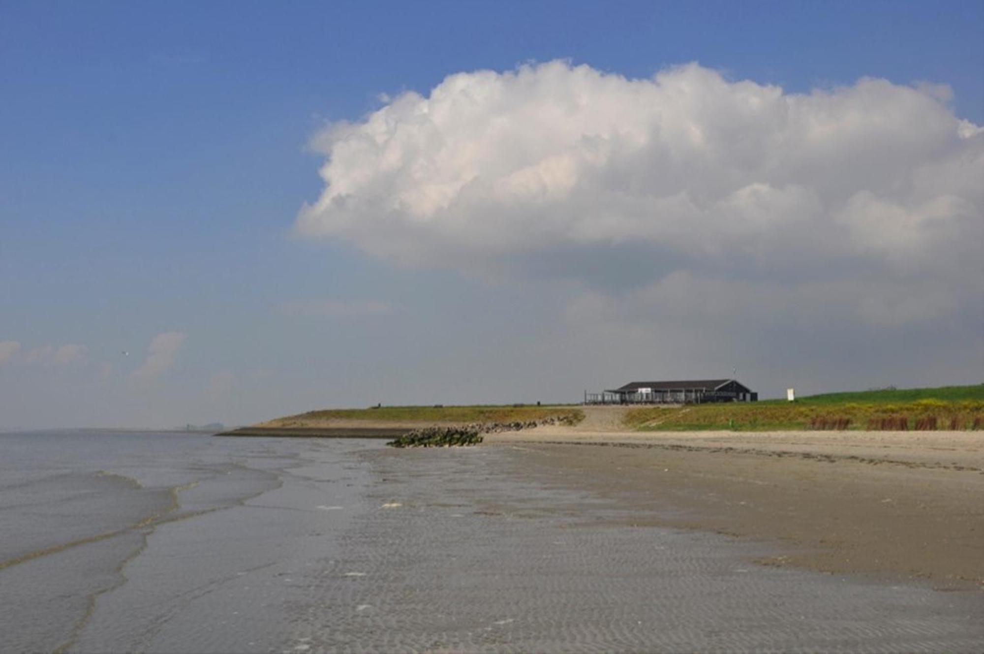 Villa Chalet Op Vakantiepark In Baarland Exterior foto